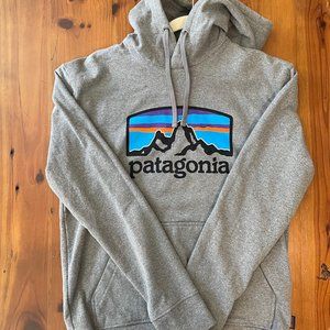 Patagonia Logo Hoodie Hoody Sweatshirt Fleece Gray S